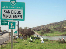SDMM